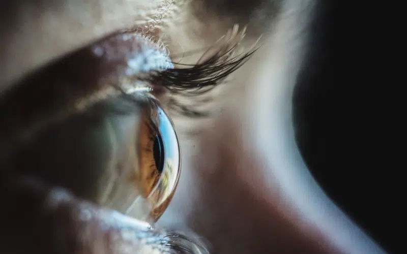 Mapping épithélial