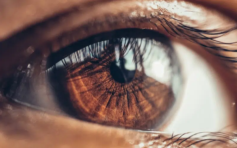 MS-39 OCT cornée Paris