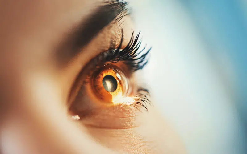 Chirurgie réfractive presbytie | Dr Stacy Charpentier | Paris